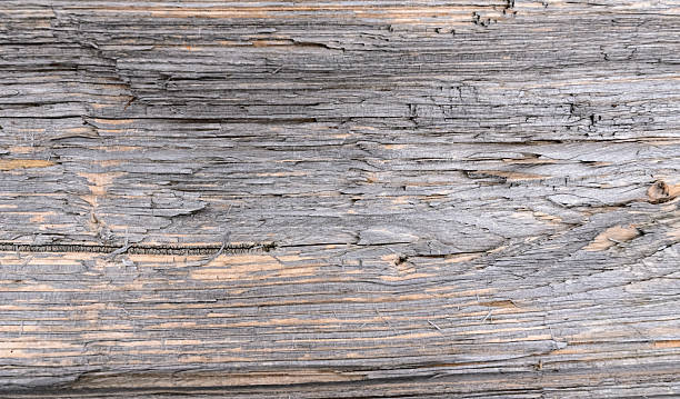 istock Wooden background, abstract wood texture and pattern of a tree 2233830086