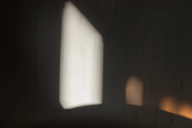 An artistic photograph capturing the beautiful play of light and shadow, forming a gentle curve.