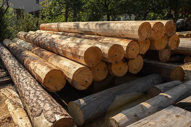 istock Prepared Timber Logs for Log House Construction 2233837329