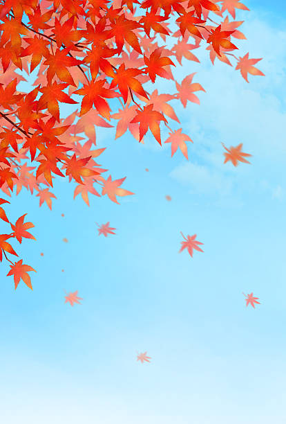 istock Autumn leaves and blue sky.Watercolor background. 2233837710