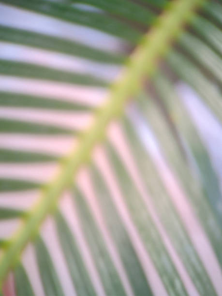 istock Harmony with Nature Eco-Conscious Wellness 2233840220