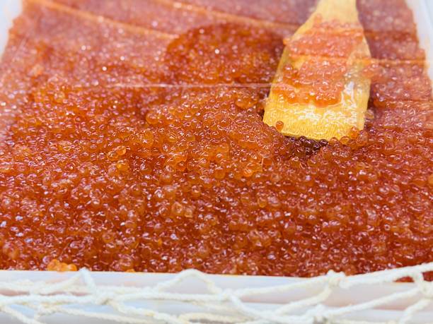 istock Vibrant and Exceptional Salmon Roe Beautifully Presented in a Container for Culinary Delight. Freshly prepared salmon roe is displayed in a container, showcasing its vibrant color and smooth texture 2233842778