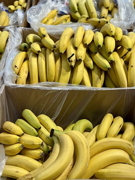 istock Come and discover the vibrant, eyecatching yellow bananas that are truly appealing and delightful. Vibrant and bountiful assortment of ripe, yellow bananas stacked attractively for eager sale 2233843468