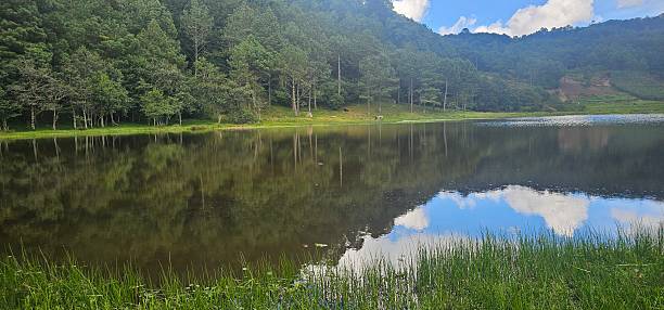 istock A little farm upstate - perfect for camping and picnic 2233843471