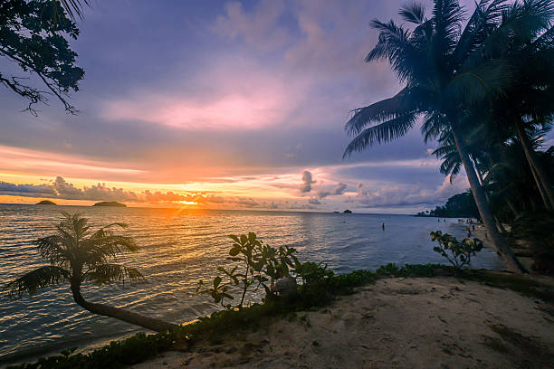 istock Tropical Beach Sunset with Palm Trees, A serene tropical beach with swaying palm trees and a colorful sunset over the calm ocean, creating a dreamy paradise atmosphere for relaxation and travel. 2233846299