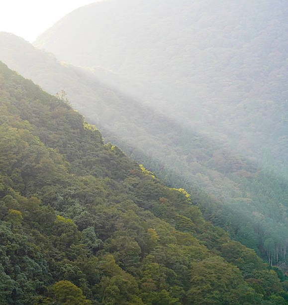 istock A ray of sunlight 2233847978