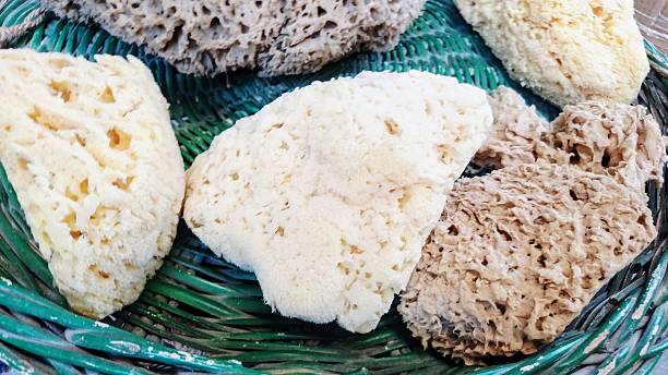 istock Soft natural sea sponges. 2233848942