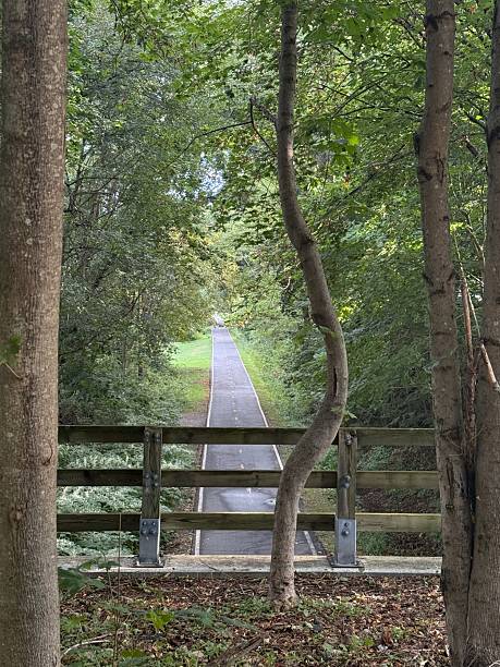 An artistic description of a path that is both peaceful and unsettling explores the tension between tranquility and dread.