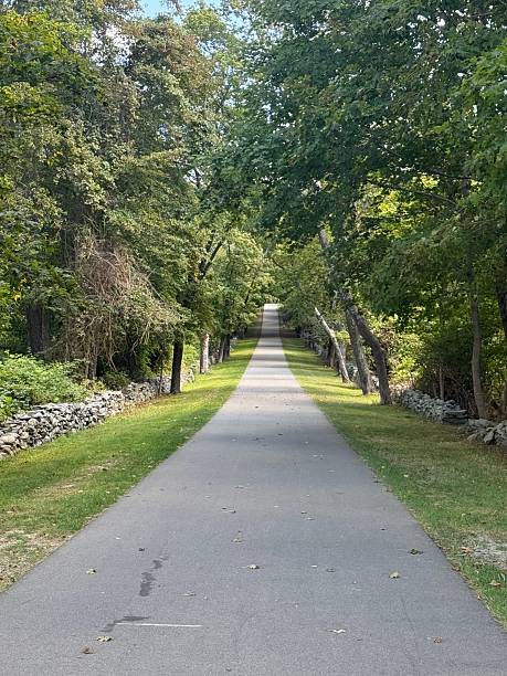 An artistic description of a path that is both peaceful and unsettling explores the tension between tranquility and dread.