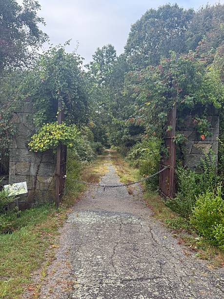 An artistic description of a path that is both peaceful and unsettling explores the tension between tranquility and dread.