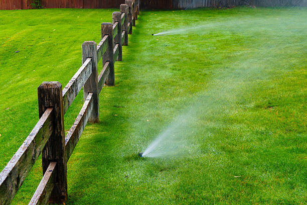 istock Watering Lawn with Sprinklers in Yard 2233849170