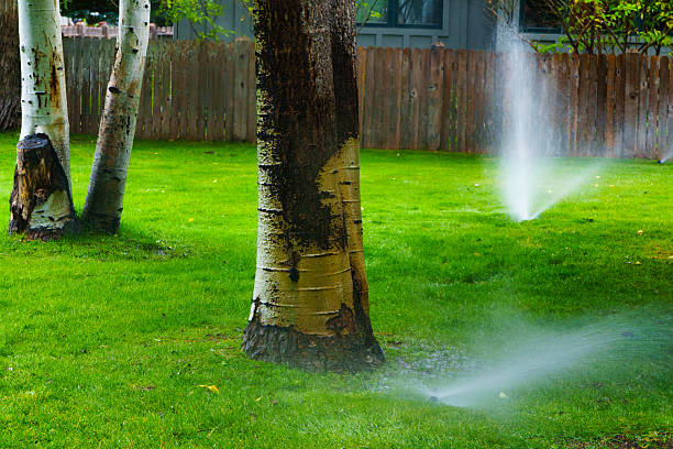 istock Watering Lawn with Sprinklers in Yard 2233849185