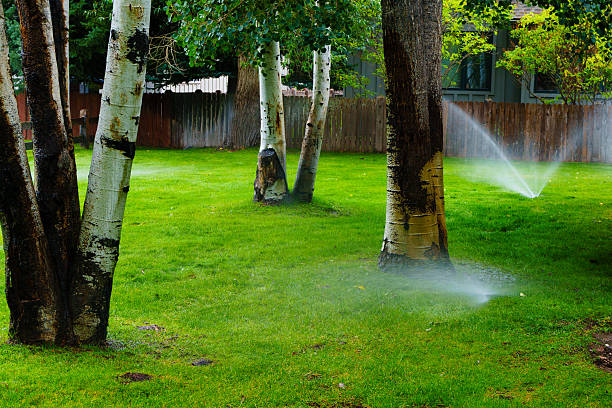 istock Watering Lawn with Sprinklers in Yard 2233849210