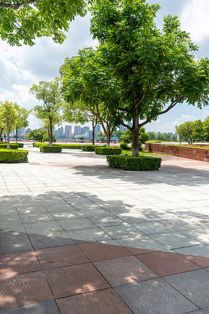 istock empty, modern square and skyscrapers in modern city 2233849223