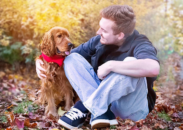 istock Happy smiling man and red-haired purebred English cocker spaniel breed. 2233849836