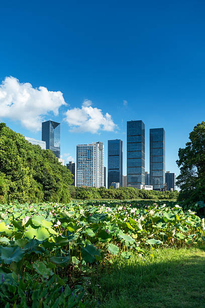istock spring park and modern city 2233850640