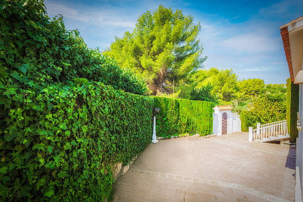 Mallorca, Spain - 23 July, 2023: The historic Jardines de Alfabia botanical gardens, Mallorca