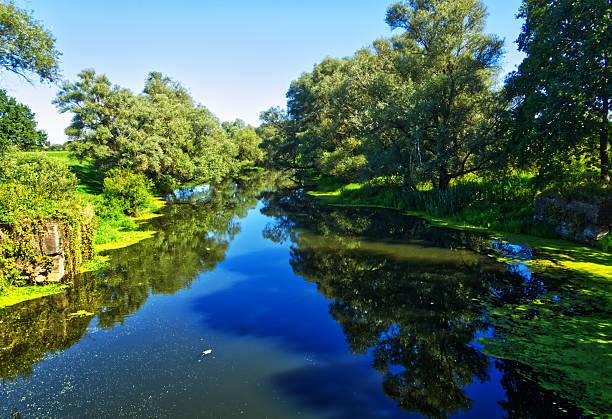 istock Serene river reflecting the vibrant blue sky and lush trees on a sunny summer day, creating a tranquil and peaceful landscape 2233852987