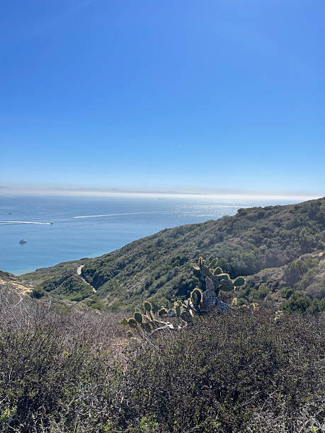 istock Cabrillo National Monument in San Diego, California 2233858202