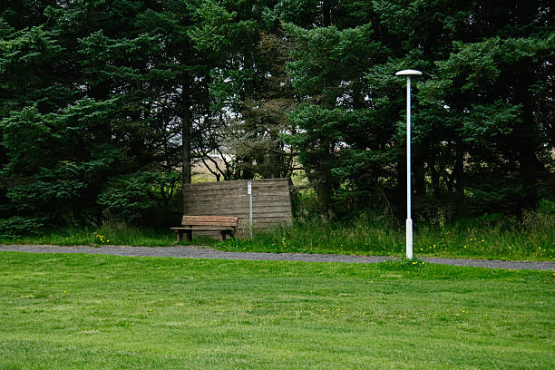 A peaceful area with a wooden bench, a lamp post, and green trees.