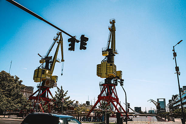 Image of some cranes in Rio de la Plata in Buenos Aires