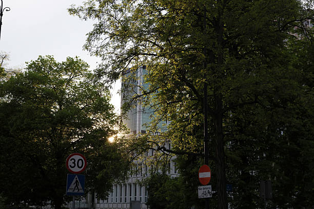 Serene cityscape image: sunlit leaves frame a modern building partially obscured by lush green trees.  Speed limit and pedestrian signs are visible. Ideal for urban, environmental, or real estate marketing.  Peaceful, yet vibrant mood.