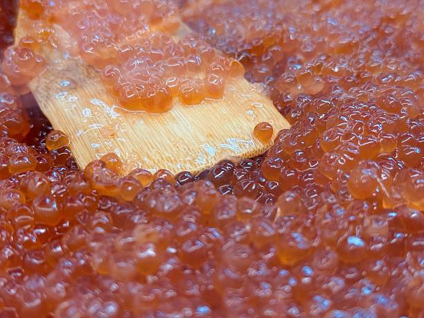 istock Vibrant and Exceptional Salmon Roe Beautifully Presented in a Container for Culinary Delight. Freshly prepared salmon roe is displayed in a container, showcasing its vibrant color and smooth texture 2233872186