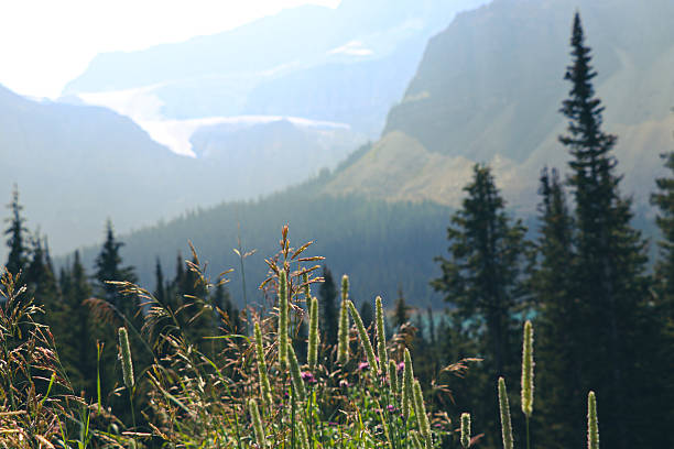 istock Canadian Rockies mountain range under clear blue sky 2233873964