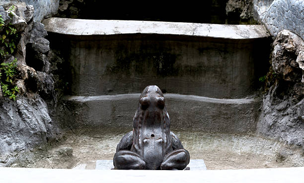 Bronze frog statue spitting a jet of water in a decorative fountain, creating ripples in the water