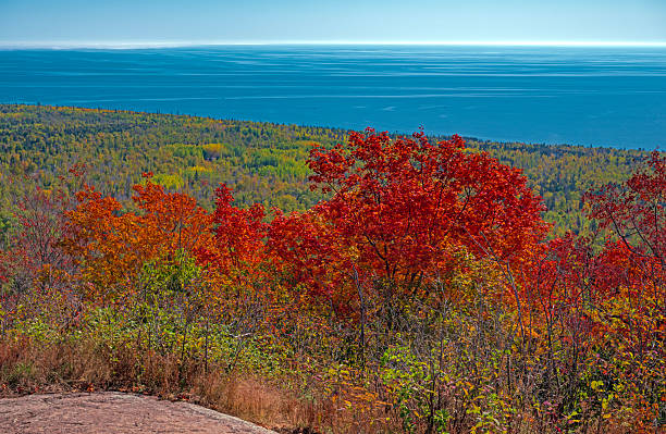 istock Red Leaves Above Lake Superior 2233875914