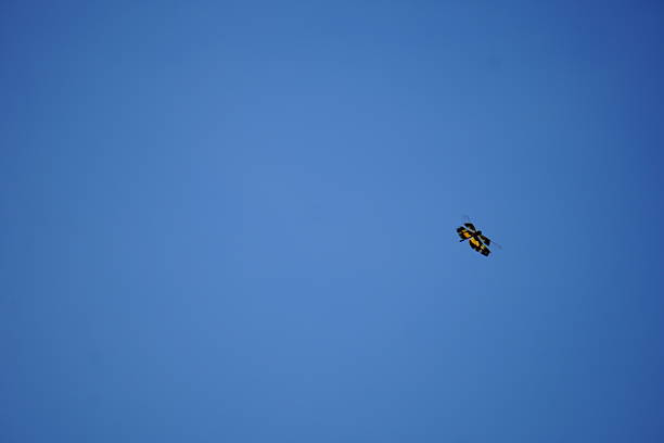 Black and yellow dragonfly flying in clear blue sky with wide negative space