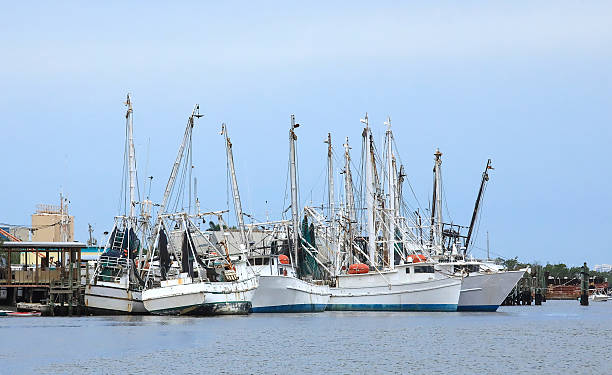 istock Fort Myers Beach Shrimping Fleet 2233877446