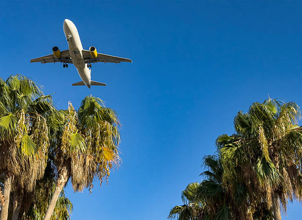 istock Airplane landing over palm trees in clear sky 2233877720