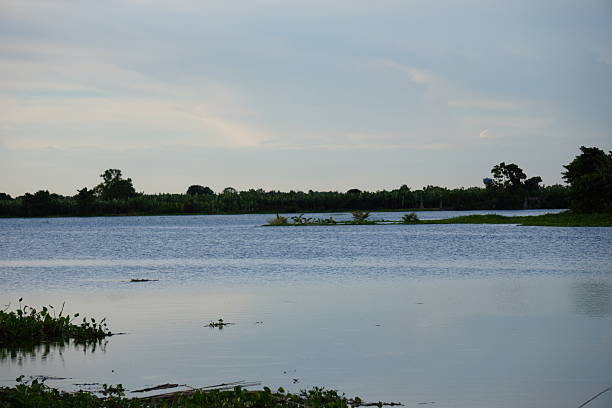 istock Wide river with distant green tree line and soft cloudy evening sky 2233879942