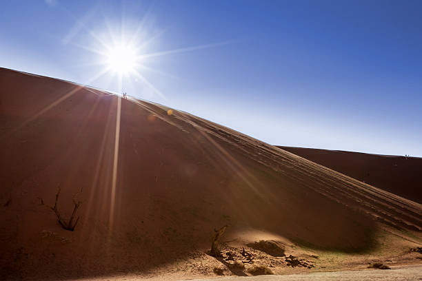 Deadvlei clay pans and dead camel thorn trees at sunrise