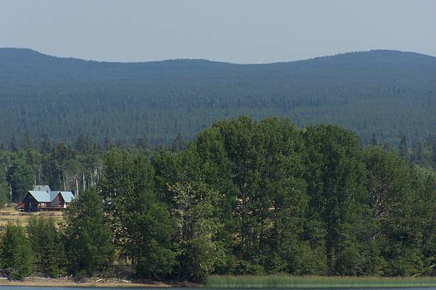istock Trees on shore of A-frame house 2233883999