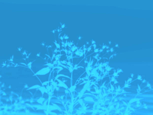 Silhouette of delicate wildflowers against a vibrant blue backdrop. A striking image showcasing the graceful forms of wildflowers silhouetted against a calming gradient of blue. The soft shapes.
