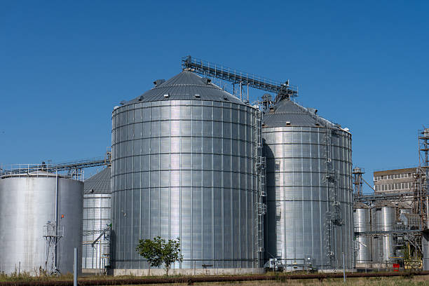istock Storage silos support grain operations in a large agricultural warehouse under clear blue sky 2233900154