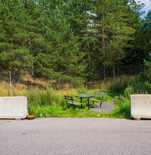 Outdoor picnic table and benches near forest edge