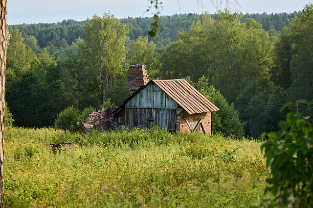 An old, dilapidated house stands gracefully in a serene natural setting filled with lush greenery all around