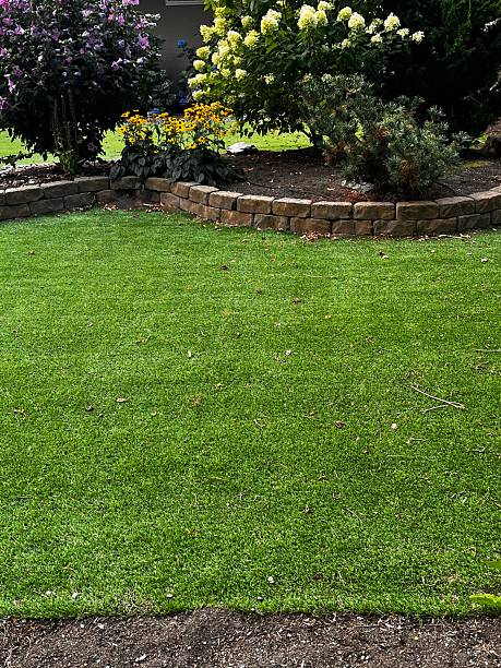 istock Artificial lawn grass turf in summer 2233911777