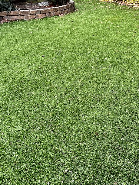 istock Artificial lawn grass turf in summer 2233911778