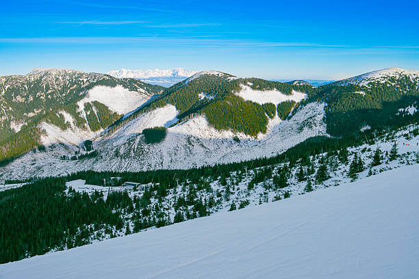 A panoramic scene of forested ridges with snow-capped peaks on the horizon
