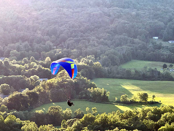 istock Para-glider sails over sunlit forested valley with sunflare 2233921289