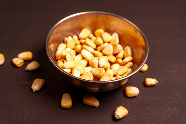 Sweet Corn : Corn kernels are small maize fruits containing a hard shell, dense starch-filled endosperm, and embryo germ essential for growth