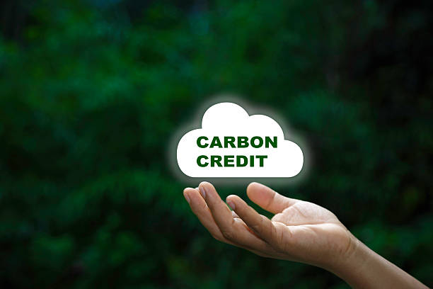 istock Carbon fixation fights nature. Carbon credit market and net zero exchange trading. carbon footprint to limit global warming and climate change. Renewable Sustainable. earth day ,friendly energy, 2233929723