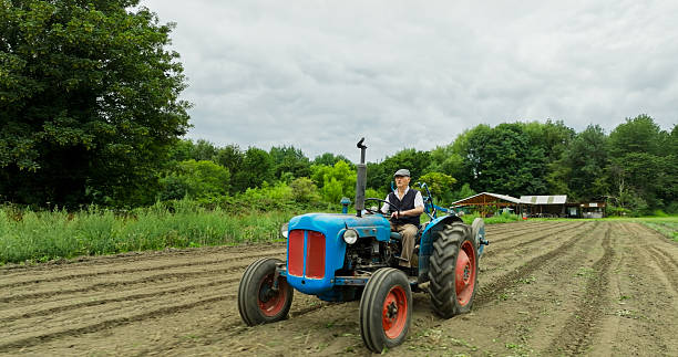An aerial shot of a farmer working with a vintage tractor in an urban farm on an overcast day in Yorkshire, England.