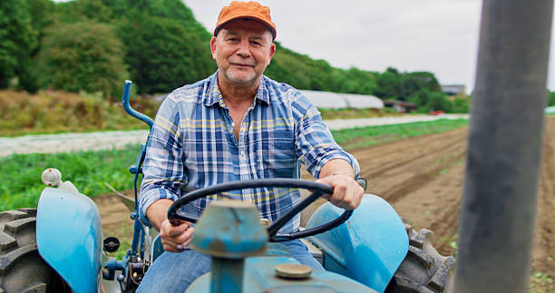 Mature man working driving a tractor at farm