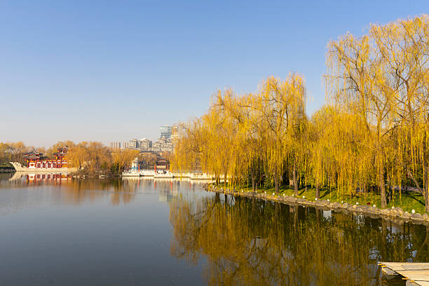 Xi'an, China - Dec 31, 2024 : Beautiful view of Tang Paradise park with blue sky in Xi'an, China on Dec 31, 2024.