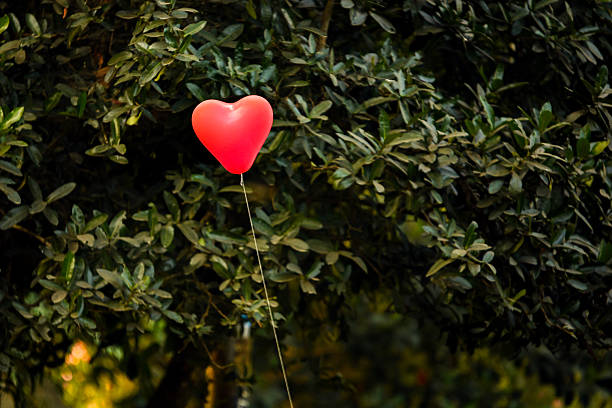Perfect big red heart balloon shiny